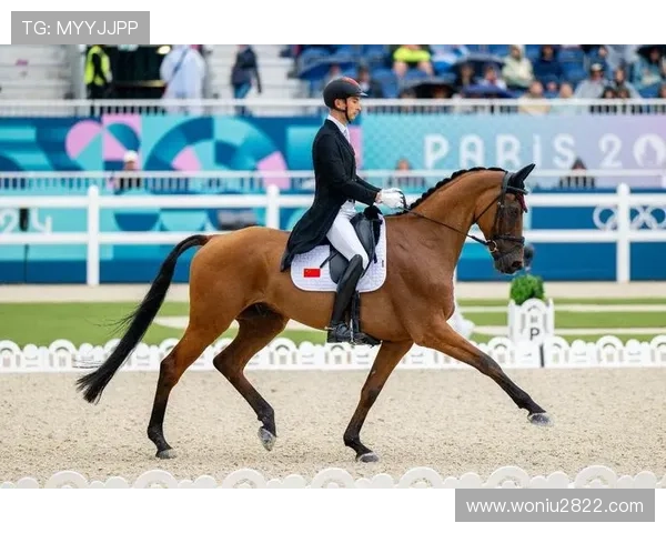 奥运马术盛典：全球顶尖骑手赛场对决直播
